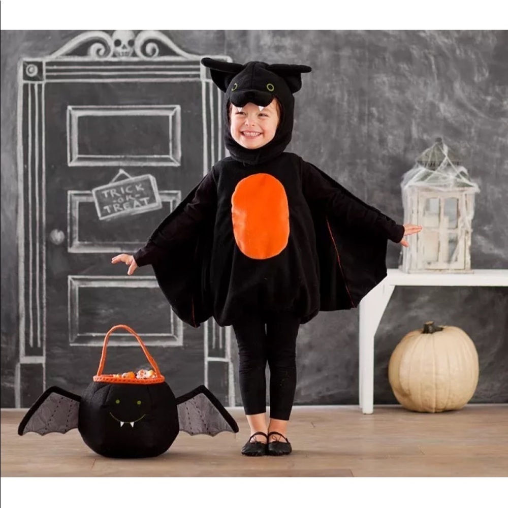ISO pottery barn bat costume